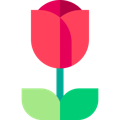 picto rose