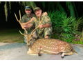 Florida Axis Cull Buck & Doe Hunt for Two