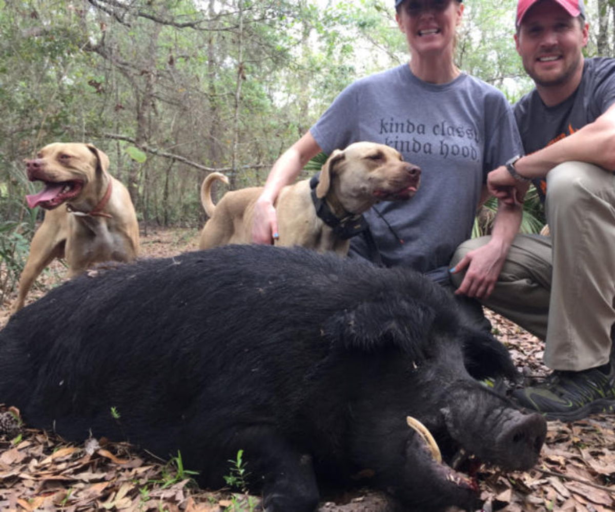 Razzor Ranch Mega Monster Trophy Boar Hunt Full Day in Zolfo Springs,  Florida - Mallard Bay, image size:1200x1000