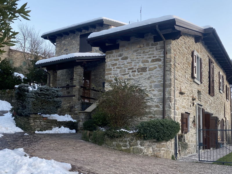 Food experiences Bargi: A Festive Lunch Under the Christmas Tree