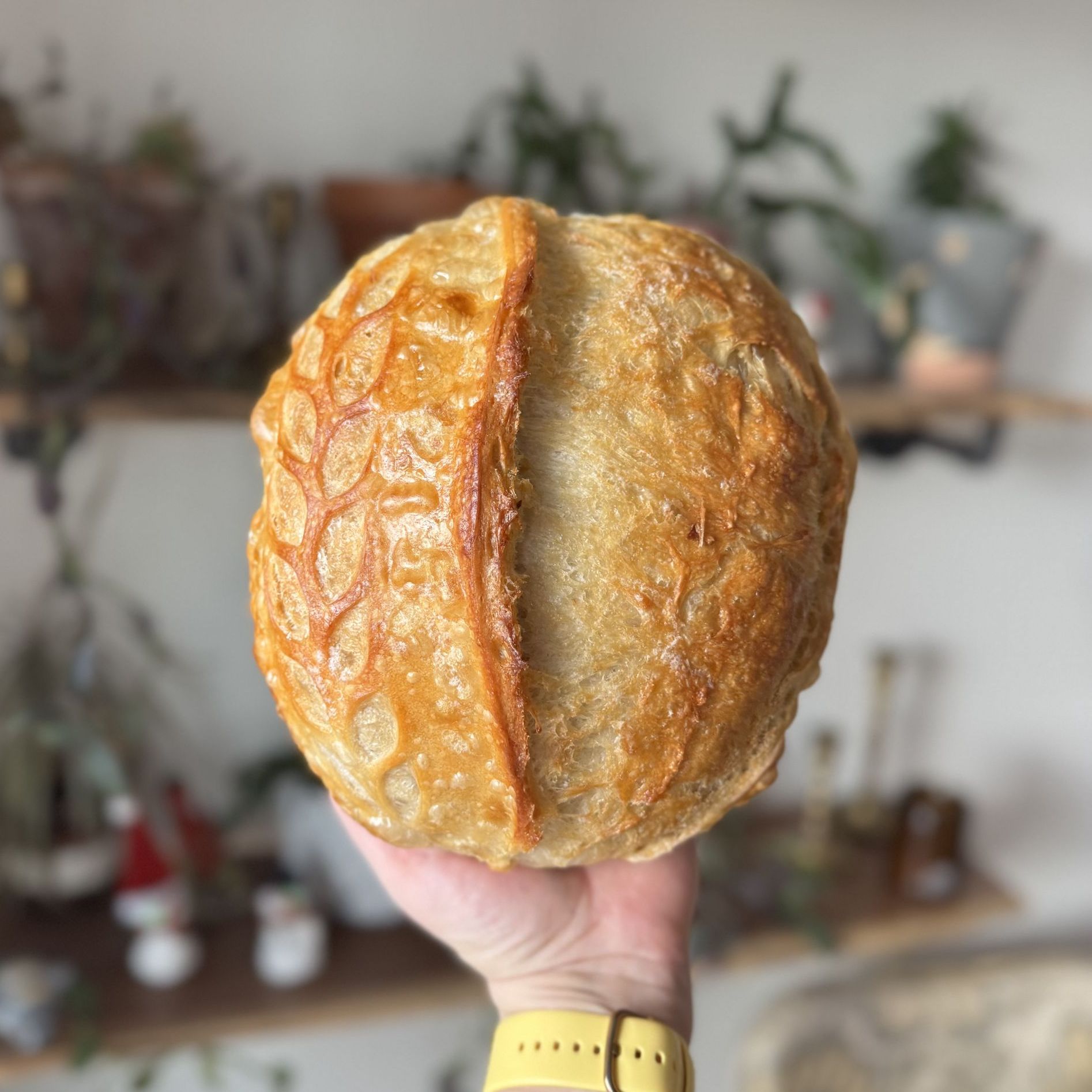 Sweet Erb’s Sourdough Bakery - Sharidan Erb — photo from hotplate.com