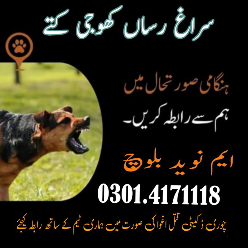 Army dog center Okara cover