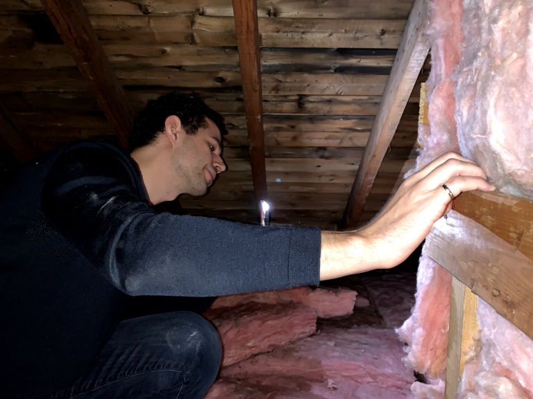 man inspecting pink insulation in attic
