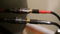 Wywires Diamond Speaker Cables 3