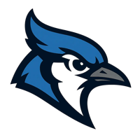 Logo Example