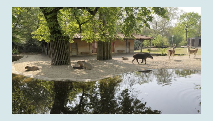 zoo krefeld südamerika anlage
