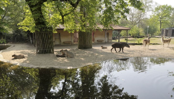 zoo krefeld südamerika anlage