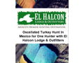 Ocellated Turkey Hunt in the Yucatan, Mexico for One Hunter with El Halcon Lodge & Outfitters