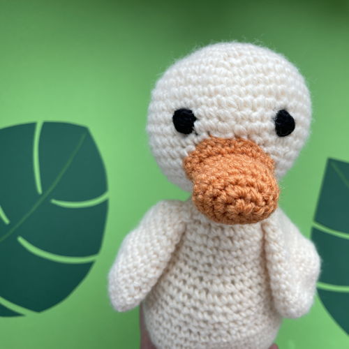 Duck Frida
