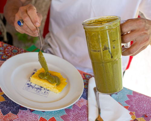 Food & Wine Tours Desenzano del Garda: Botanical experience and picnic in Lower Garda