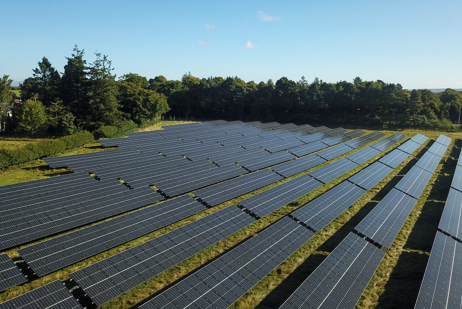 Rows of solar panels are installed on a grassy field with trees in the background under a clear blue sky, capturing sunlight for renewable energy production.