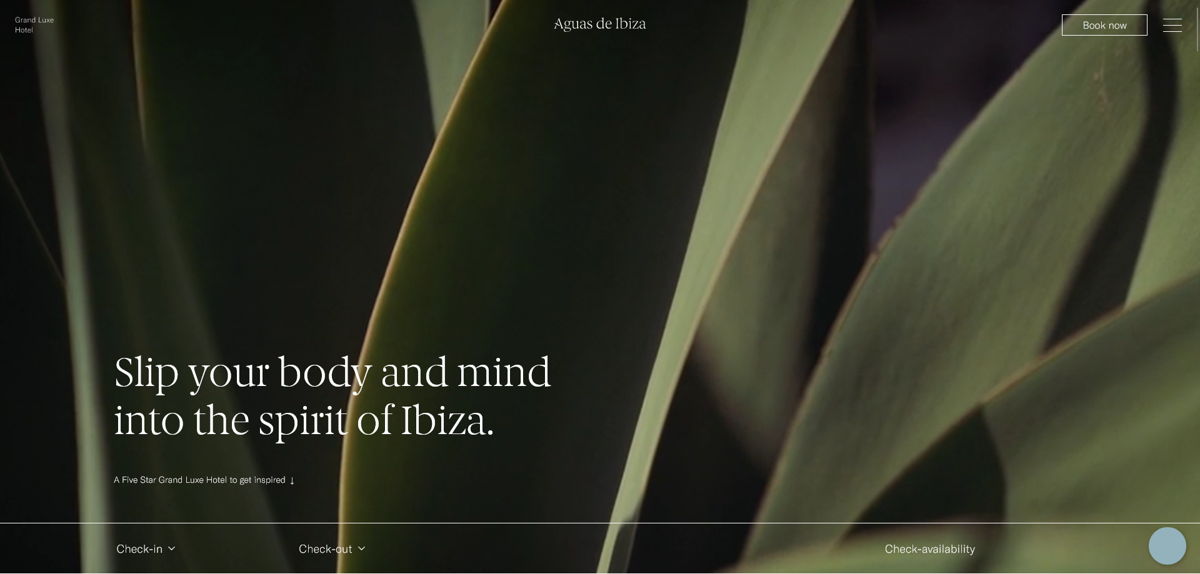 Screenshot of Aguas de Ibiza, from the hotel websites collection.