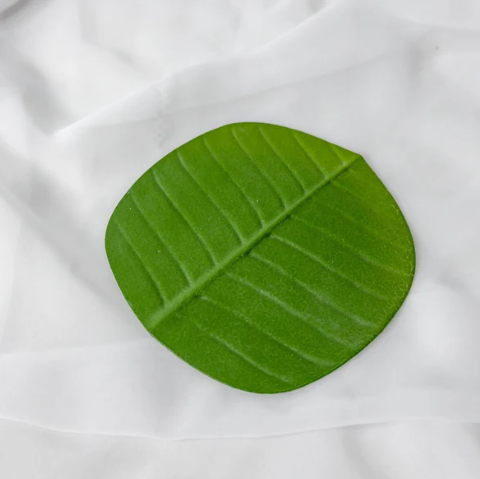 Banana Leaf Coaster (6 Pack) - Realistic Artificial Flowers and Greenery - Image 3