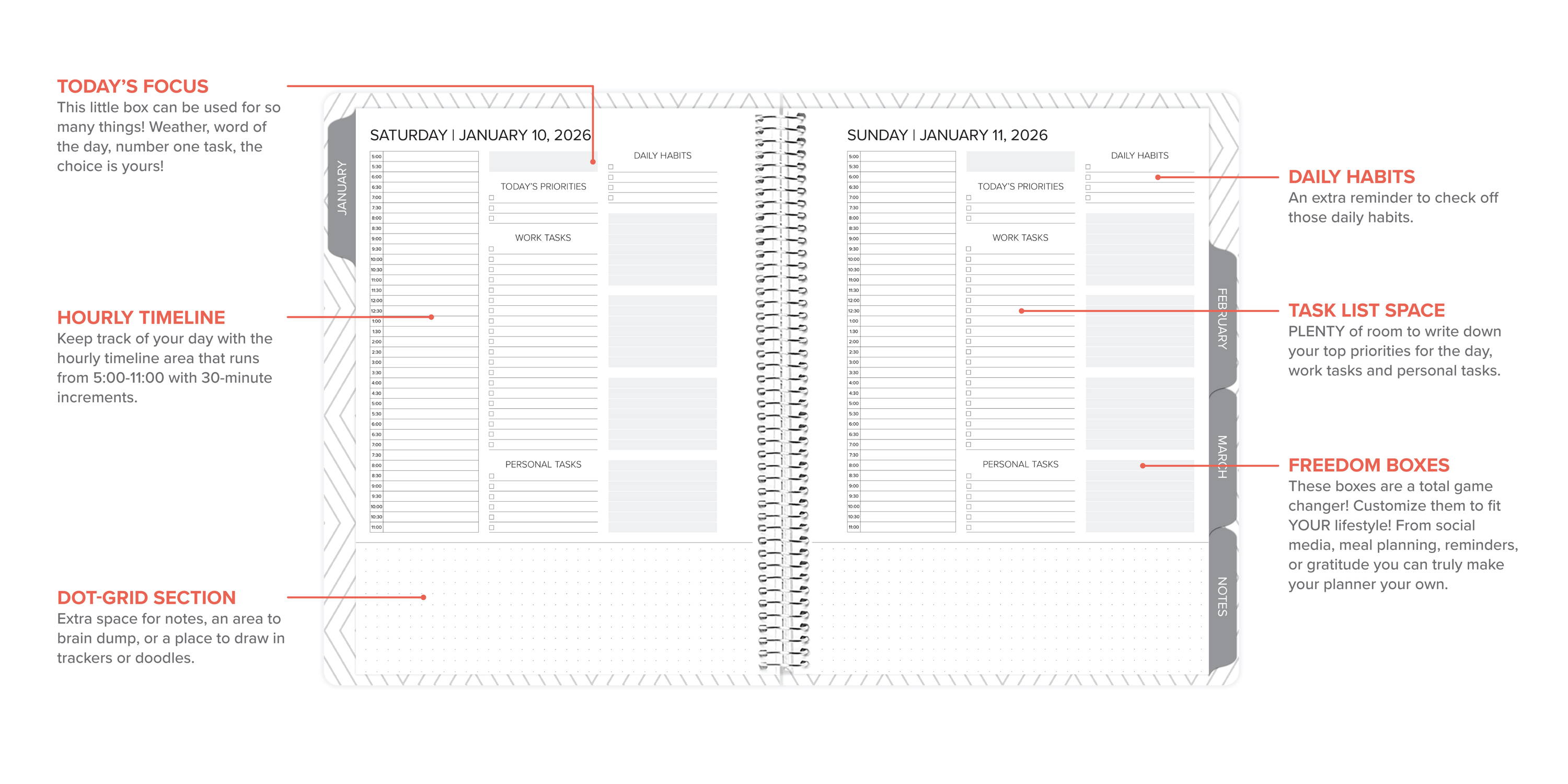 amplify planner daily layout