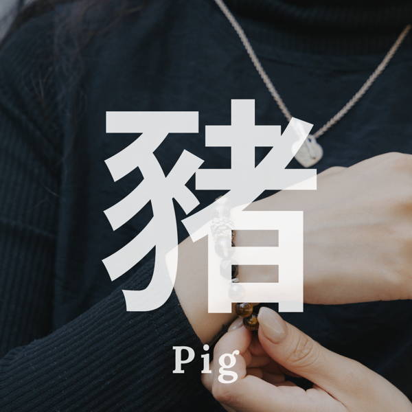 生肖豬