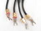 TERESONIC  CLARISON SPEAKER CABLES 3