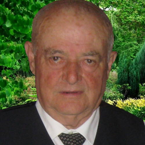 Giuseppe Farotti