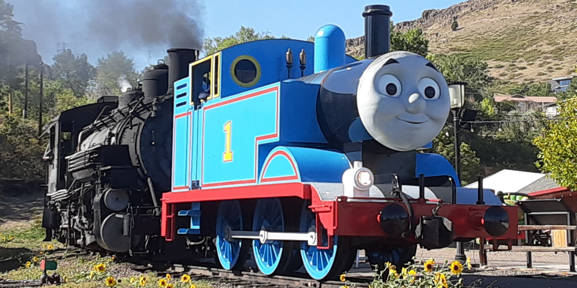 Day Out With Thomas™ promotional image