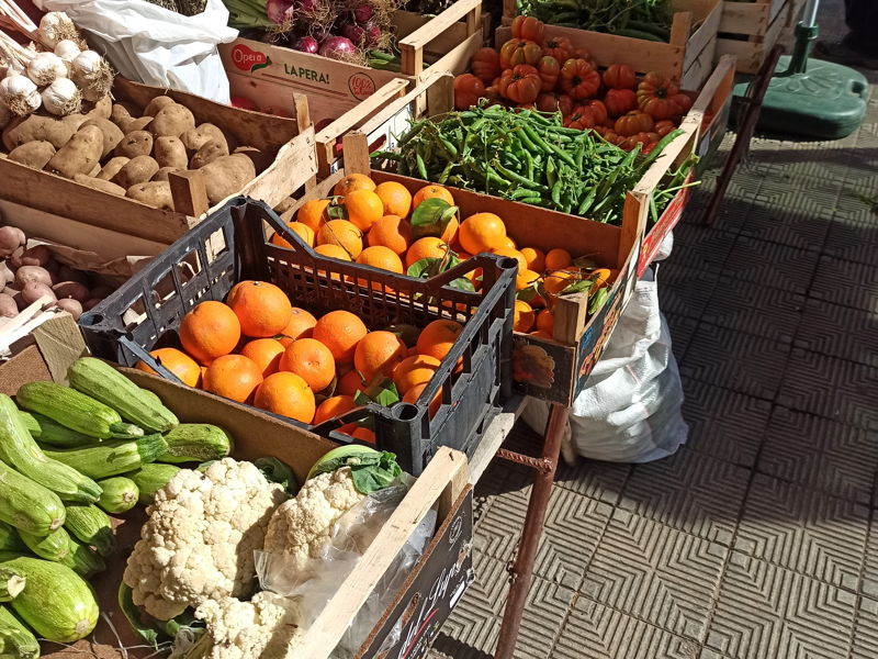 Food & Wine Tours Reggio Calabria: Market visit with cooking class
