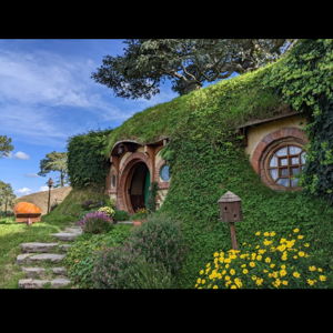 Hobbiton Movie Set Tour 🥔