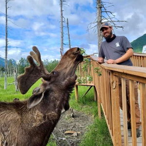 Alaska Wildlife Conservation Center | Visit & Moose Encounter