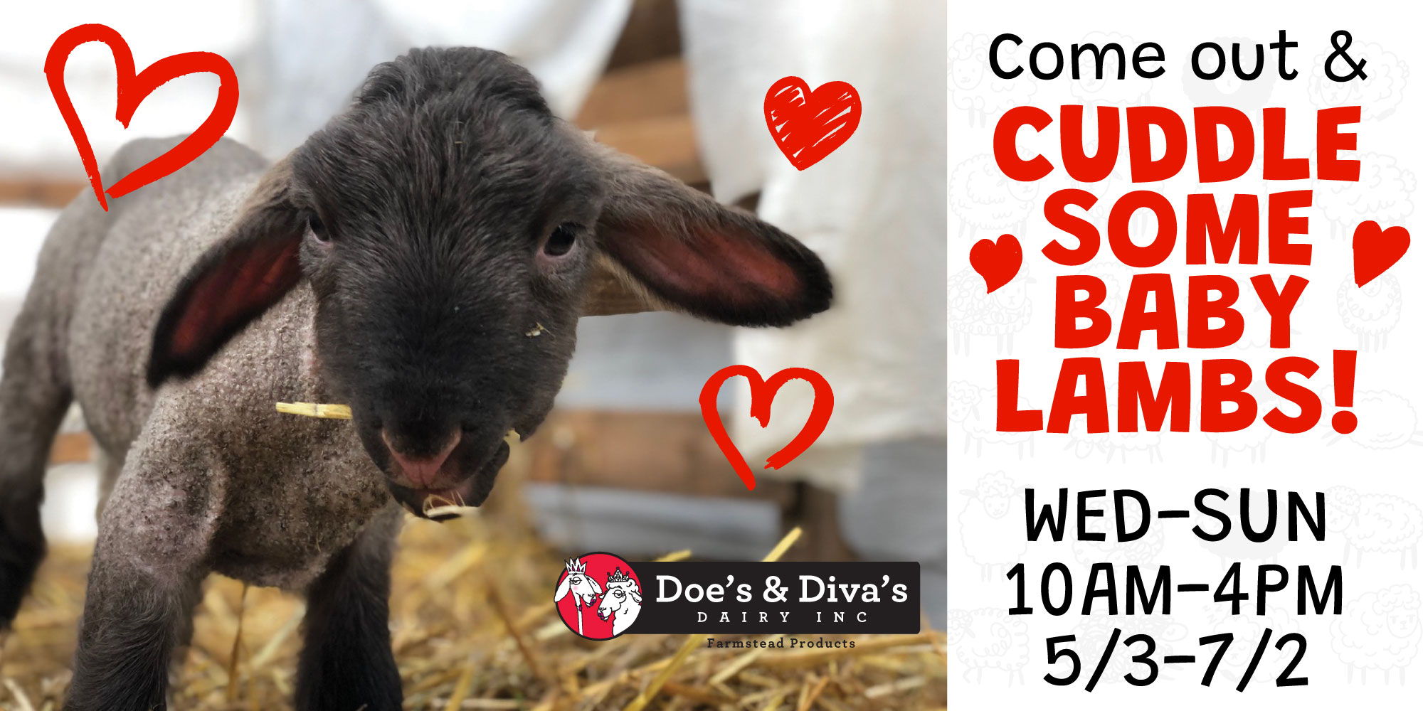 Lamb Cuddles & Open Farm promotional image