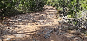 Cedro Hard ADV Route 1  near Tijeras, NM