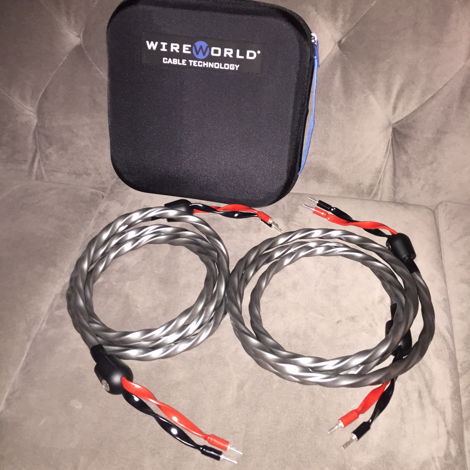 Wireworld Equinox speaker cables Trade in save $$$$