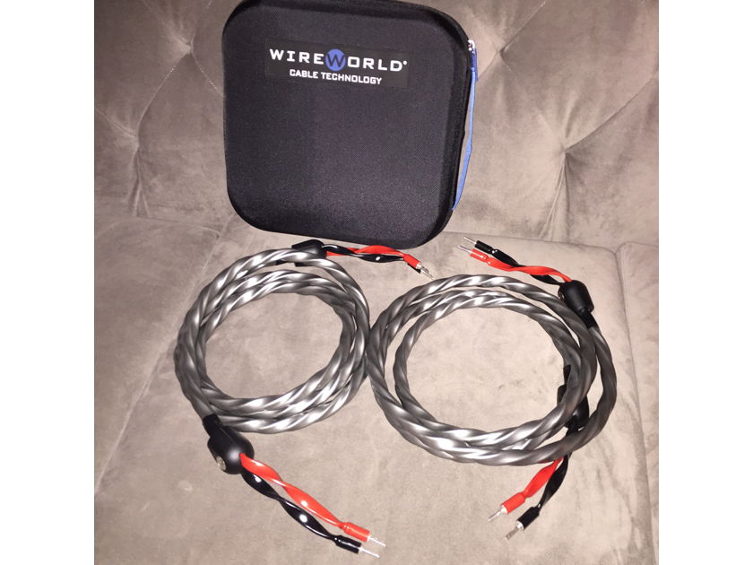 Wireworld Equinox speaker cables Trade in save $$$$