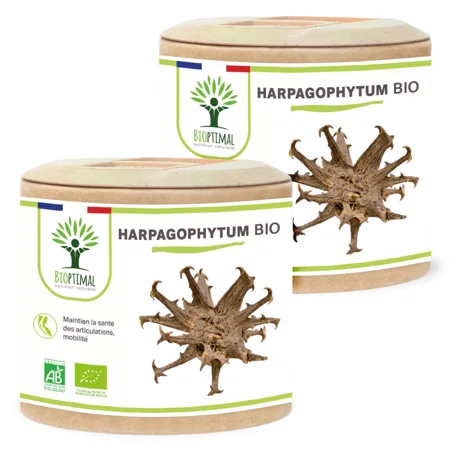 Harpagophytum Bio - 2 x 60
