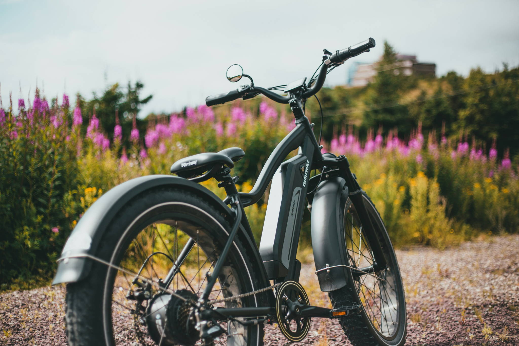 mountain bike elettrica