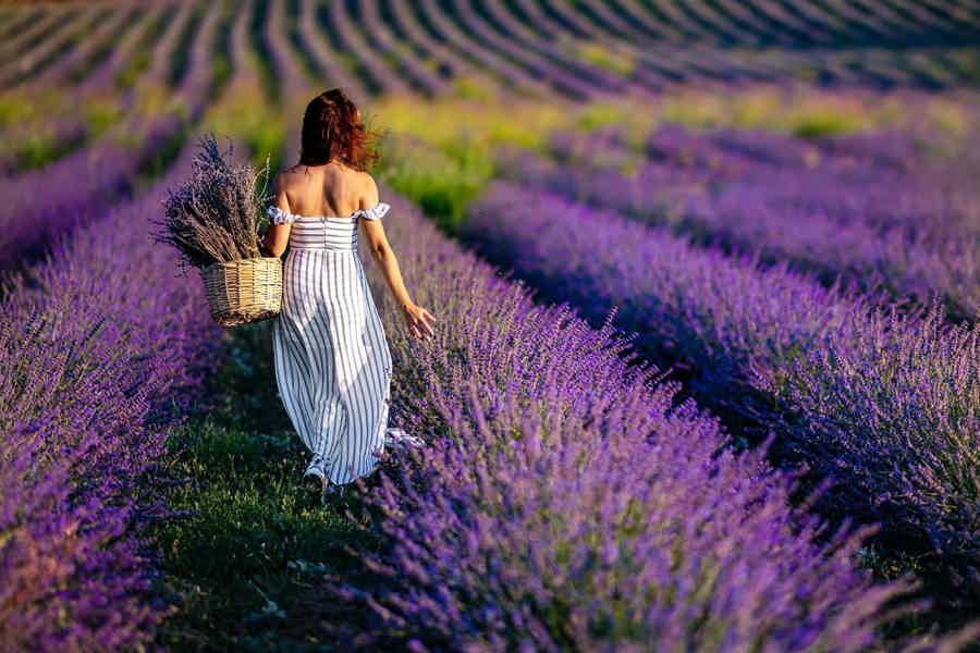 Antalya: Monster Safari, Rafting, Tazı Canyon & Lavender - photo 6