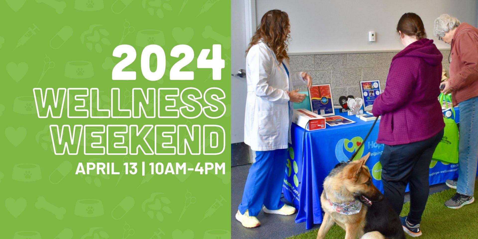 Canine Wellness Weekend promotional image