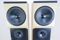 Tyler Acoustics D12X Studio Mastering Monitors / Speake... 12
