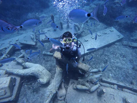 Scuba Diving with Expert Diving Option in Side