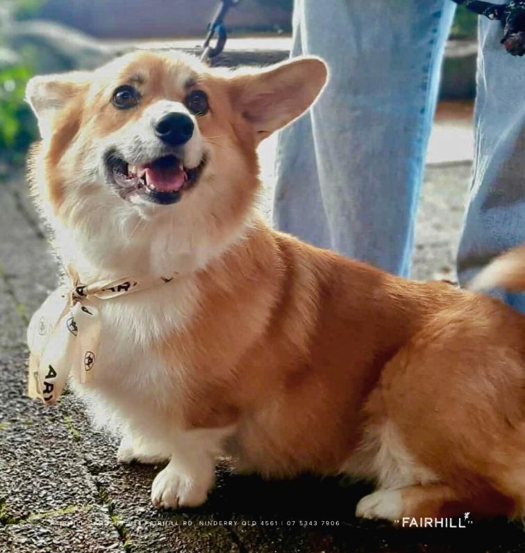 Fairhill Gardens Cafe - Voucher - Image 5