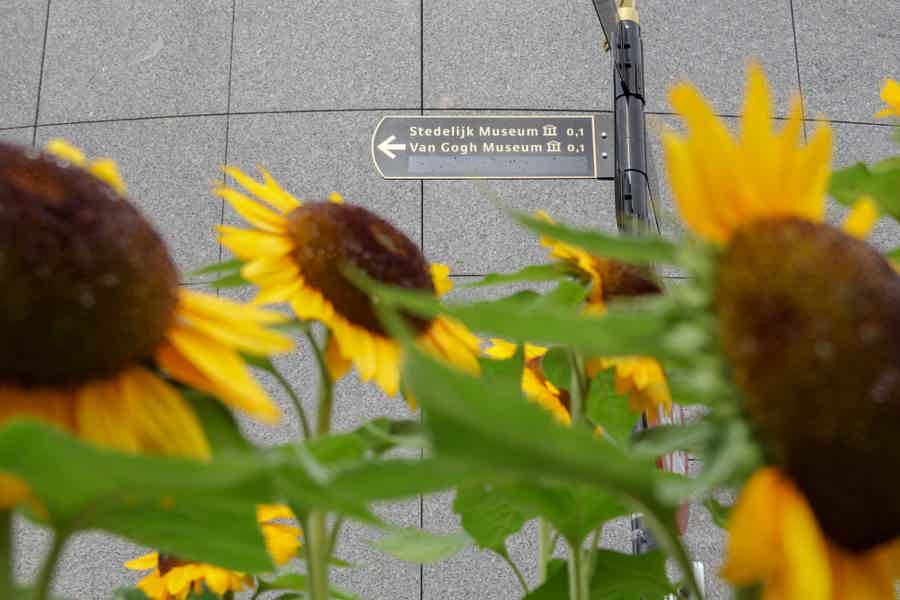 Van Gogh Museum & Rijksmuseum: Timed Entrance & Guided Tour - photo 2