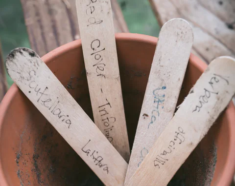 Herb marker sticks in a terra cotta pot