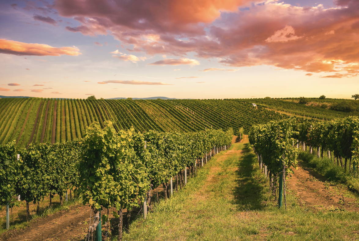 le climat bordeaux