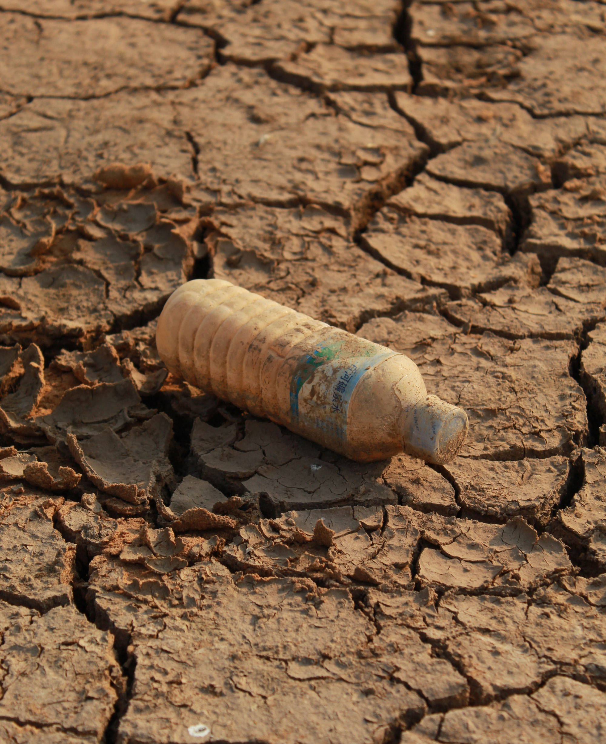 FAO, topsoil, soil degradation, 2050, risk, UN