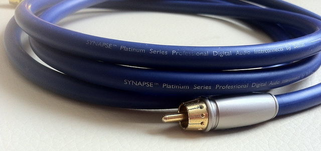 Belkin Synapse Digital Audio cable - 75 ohm - 6 foot - ...