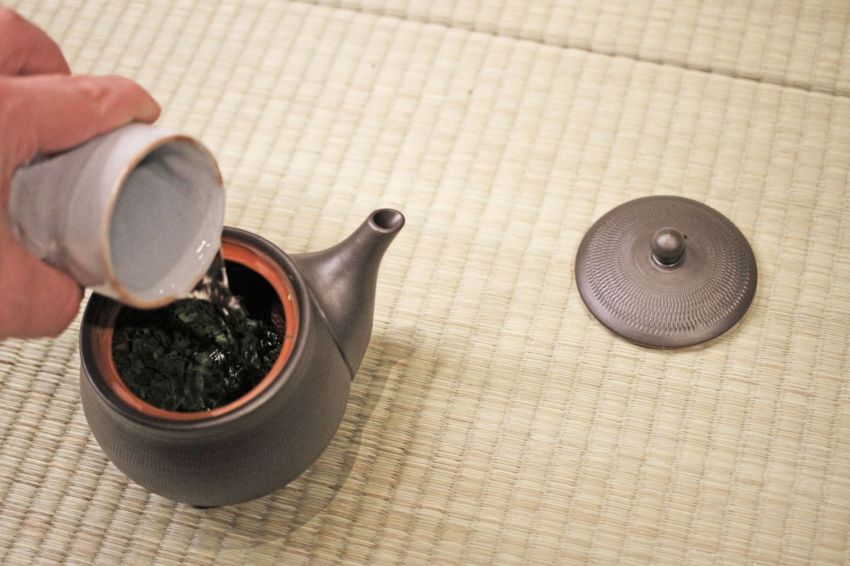 Steeping Japanese green tea in a kyusu
