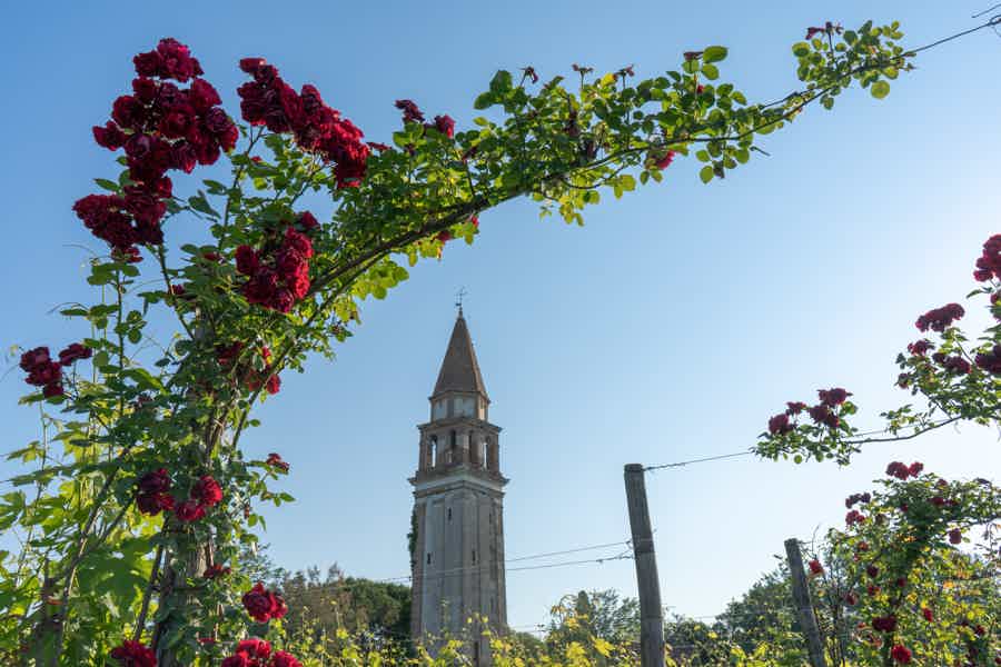 Island hopping tour: Mazzorbo, Burano and Murano - photo 4