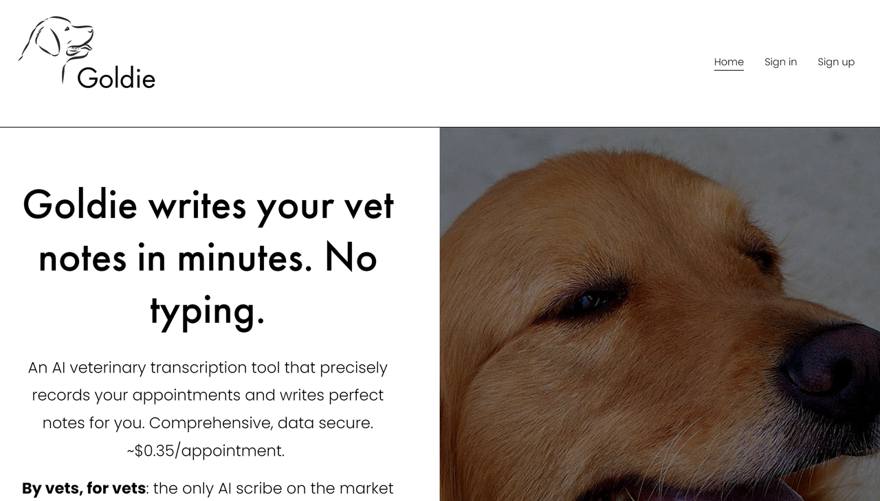 Screenshot of GoldieVet's website landing page, an AI scribe