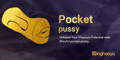 pocket pussy