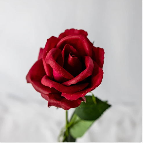 Red Open Bloom Real Touch Rose - Realistic Artificial Flowers - Image 2