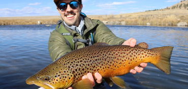 Colorado Special - Mountain Roads and Fly Fishing  near Lakewood, CO