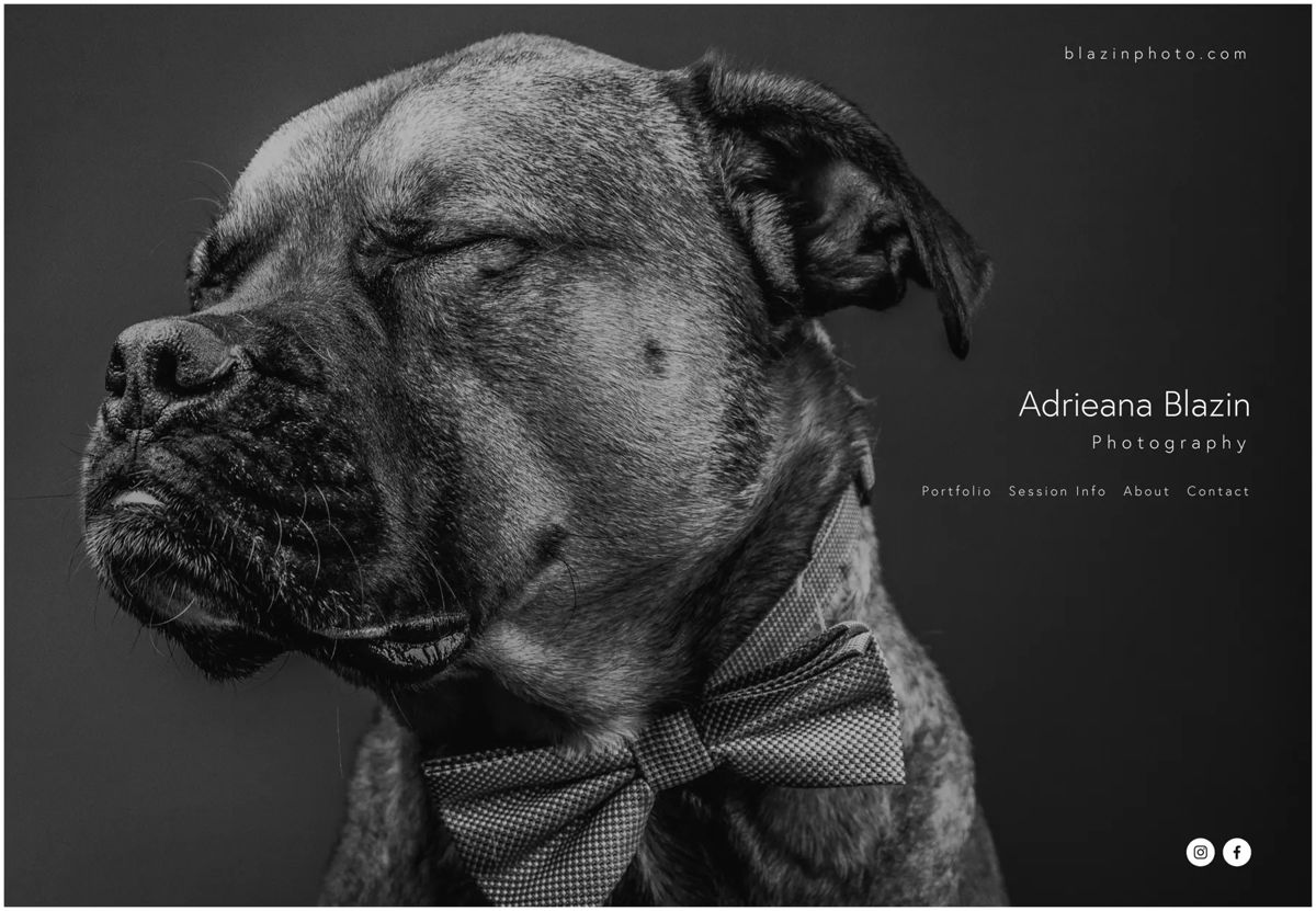 Screenshot of Adrieana Blazin, from the simple & minimal websites collection.