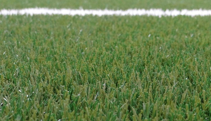 nbg rasen nahaufname fifa