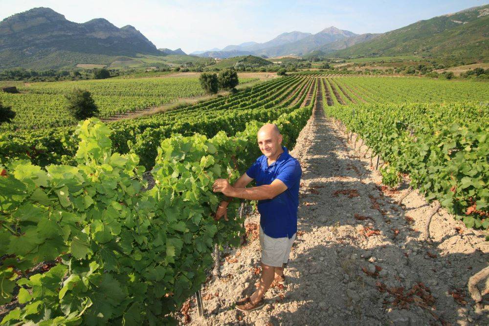 Domaine Yves Leccia, une figure incontournable de Patrimonio et de Corse, qui met en valeur des cépages autochtones
